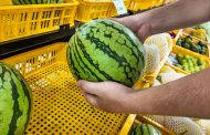 How To Pick the Best Watermelon